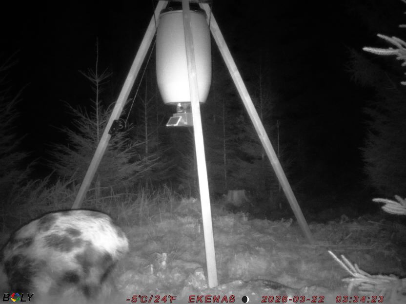 Bild från EKENÄSSALTSTEN