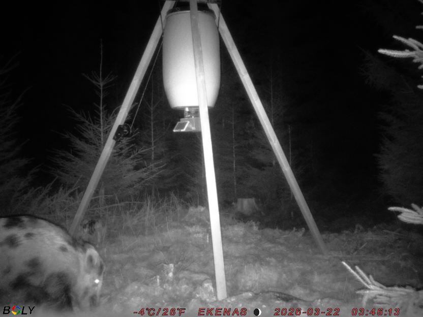 Bild från EKENÄSSALTSTEN