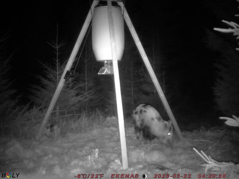 Bild från EKENÄSSALTSTEN