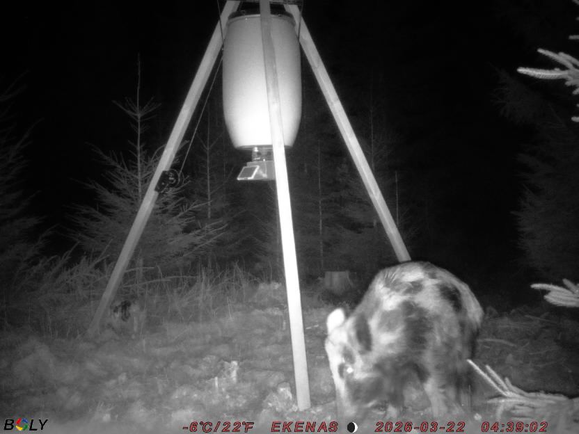 Bild från EKENÄSSALTSTEN