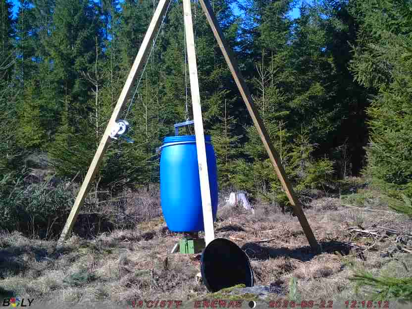 Bild från EKENÄSSALTSTEN