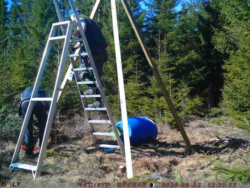 Bild från EKENÄSSALTSTEN