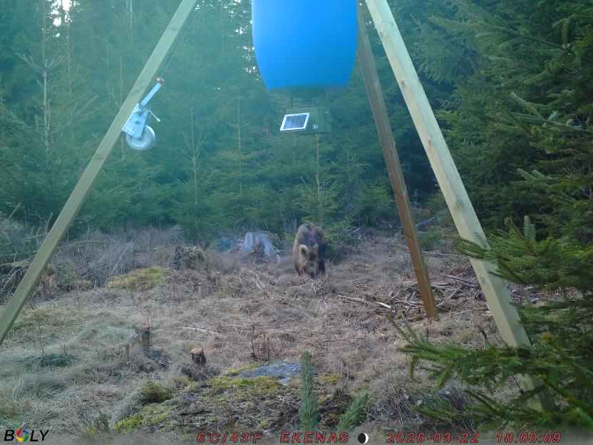 Bild från EKENÄSSALTSTEN