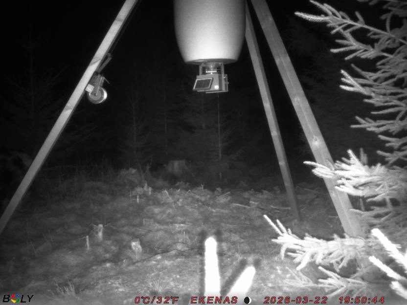 Bild från EKENÄSSALTSTEN