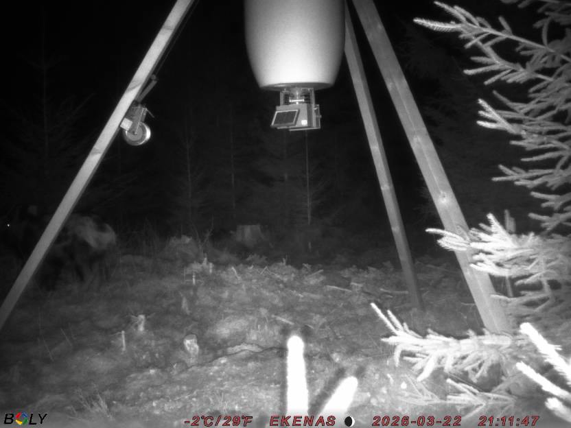 Bild från EKENÄSSALTSTEN