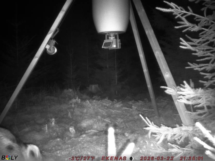 Bild från EKENÄSSALTSTEN