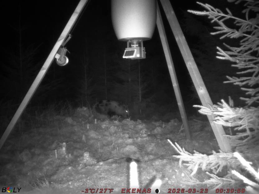 Bild från EKENÄSSALTSTEN