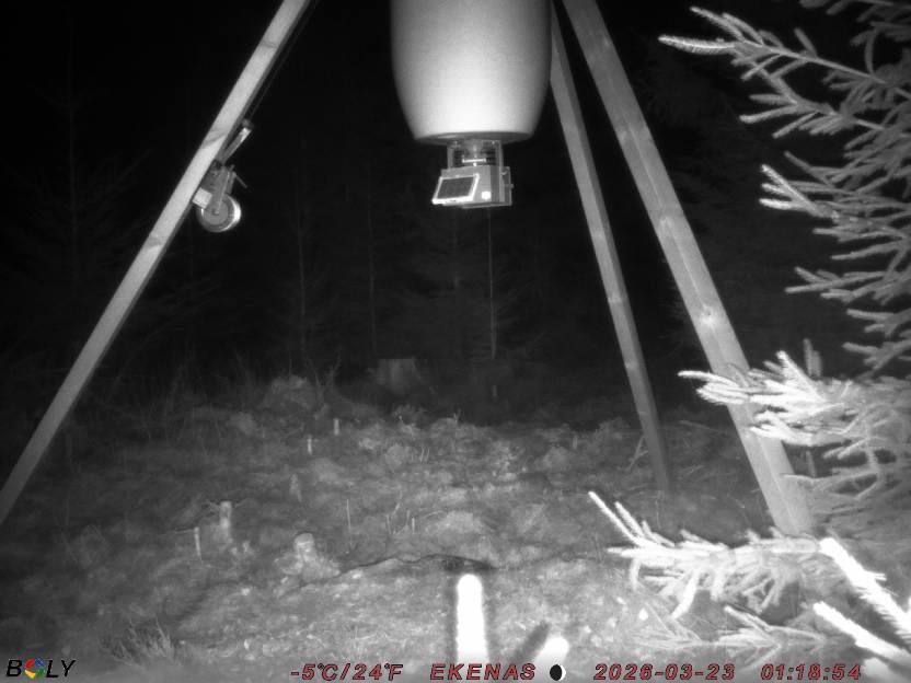 Bild från EKENÄSSALTSTEN