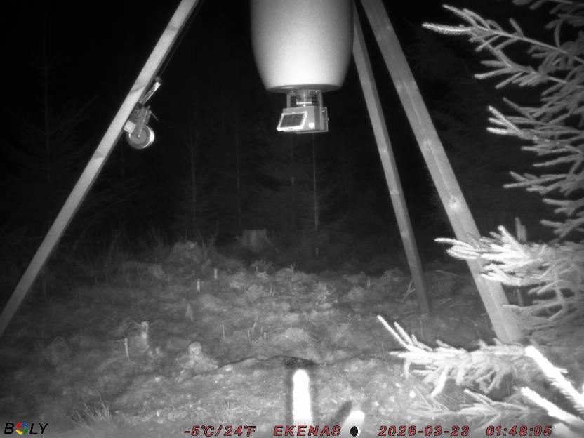 Bild från EKENÄSSALTSTEN