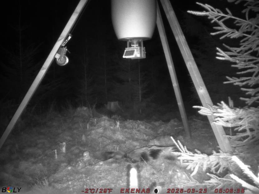 Bild från EKENÄSSALTSTEN