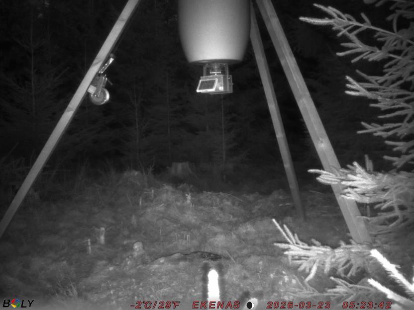 Bild från EKENÄSSALTSTEN