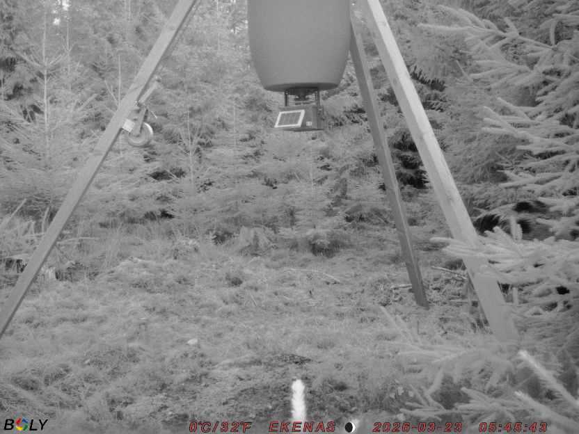 Bild från EKENÄSSALTSTEN