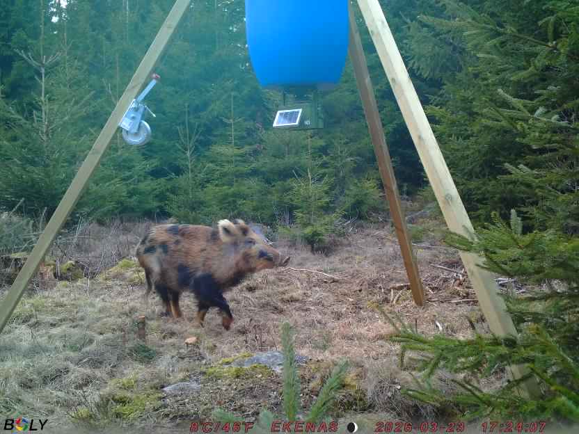 Bild från EKENÄSSALTSTEN