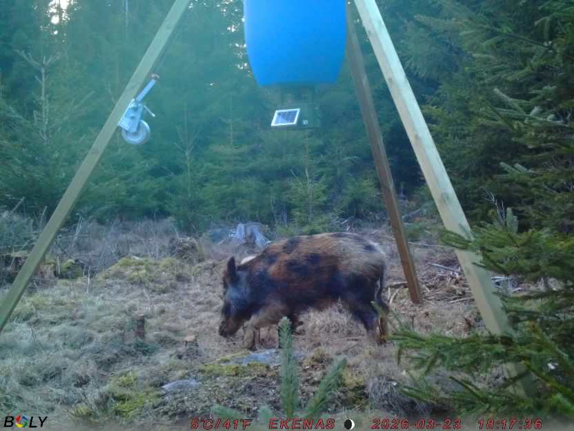 Bild från EKENÄSSALTSTEN