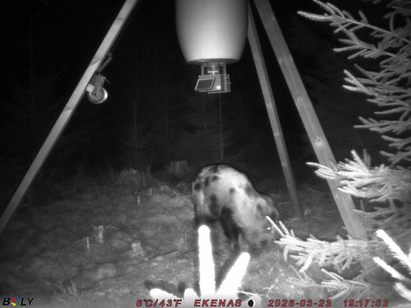 Bild från EKENÄSSALTSTEN