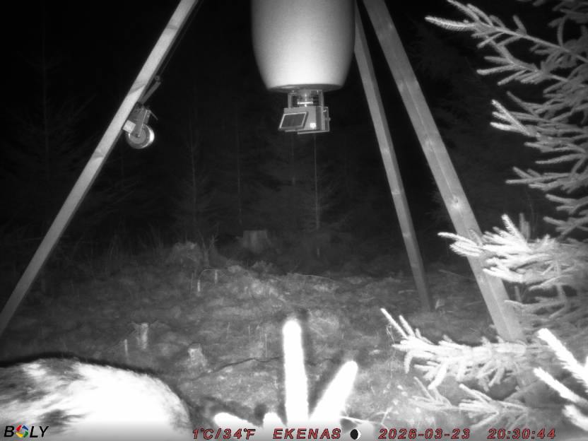 Bild från EKENÄSSALTSTEN