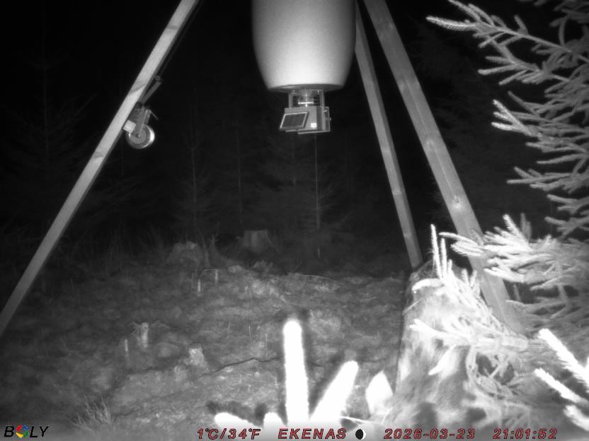 Bild från EKENÄSSALTSTEN