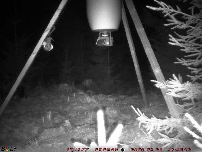 Bild från EKENÄSSALTSTEN