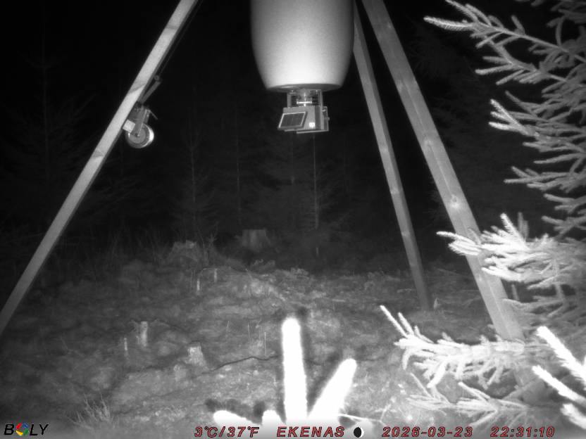 Bild från EKENÄSSALTSTEN