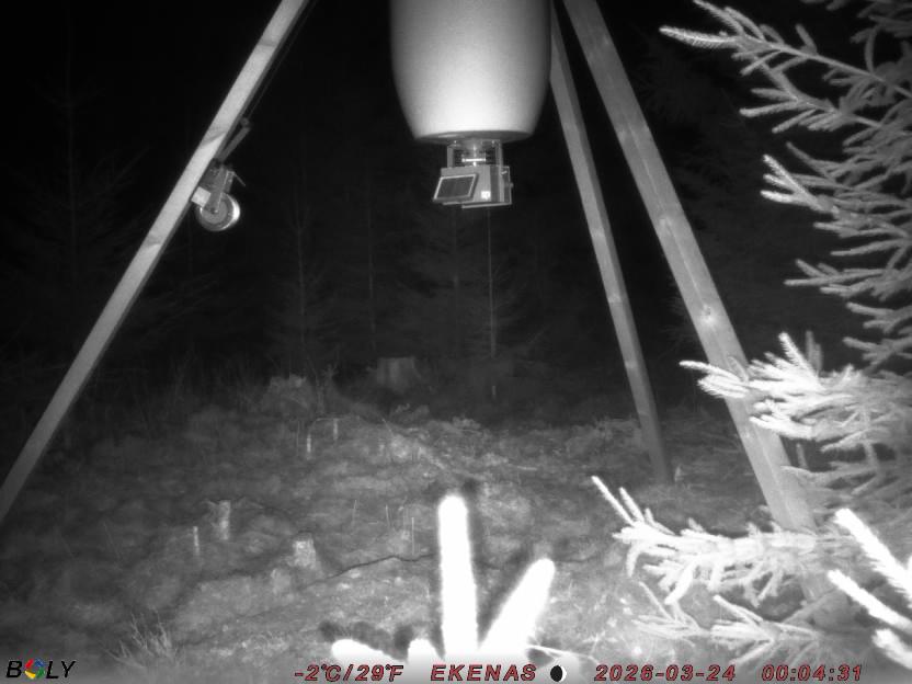 Bild från EKENÄSSALTSTEN