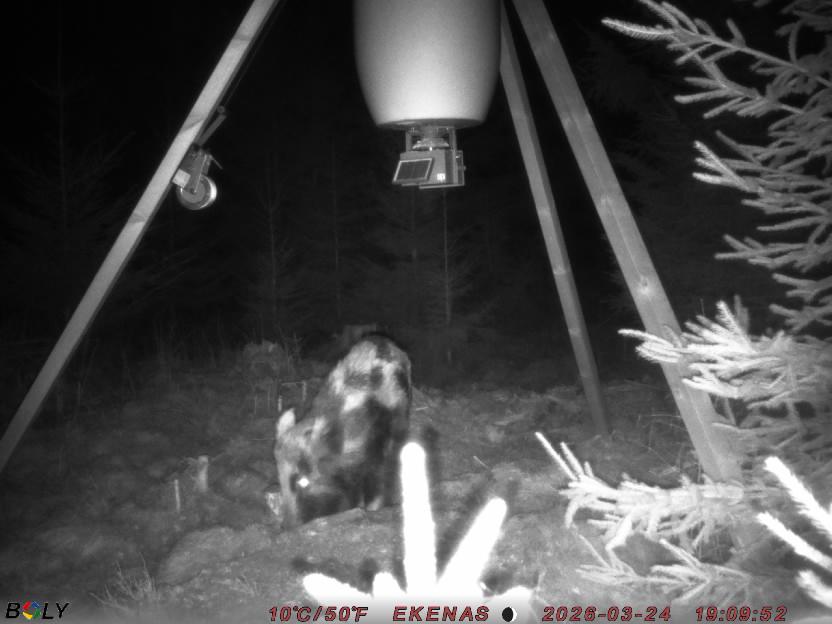 Bild från EKENÄSSALTSTEN