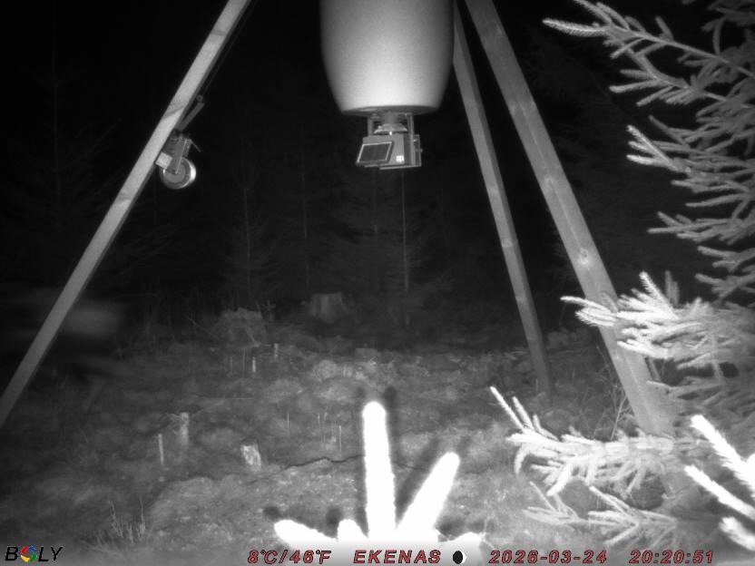 Bild från EKENÄSSALTSTEN