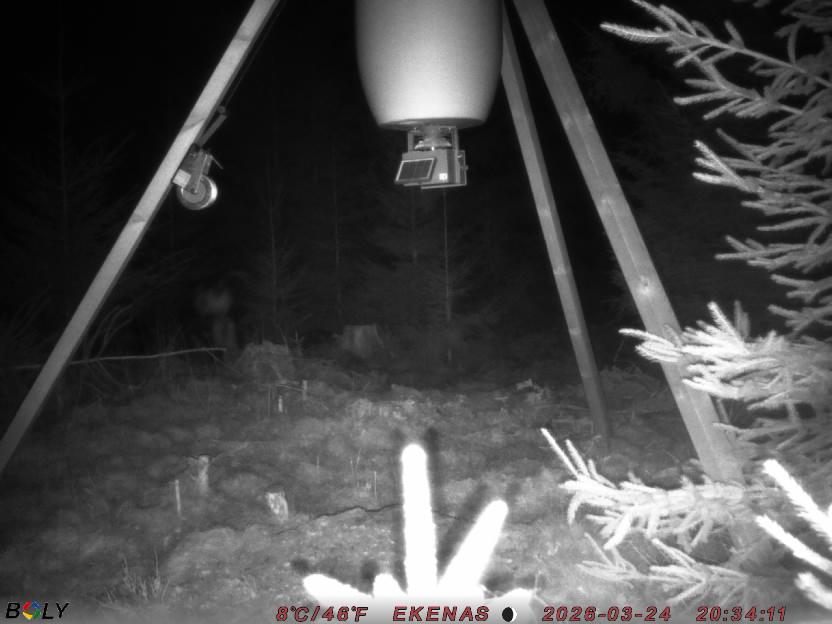 Bild från EKENÄSSALTSTEN