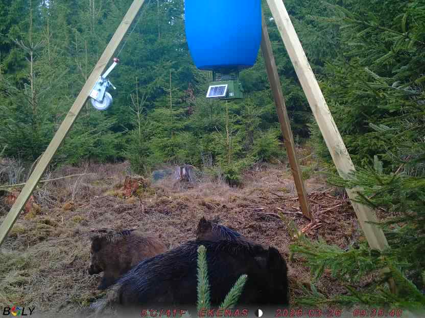 Bild från EKENÄSSALTSTEN