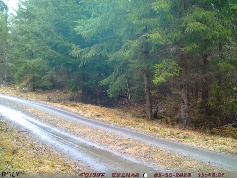 Bild från EKENÄSSALTSTEN