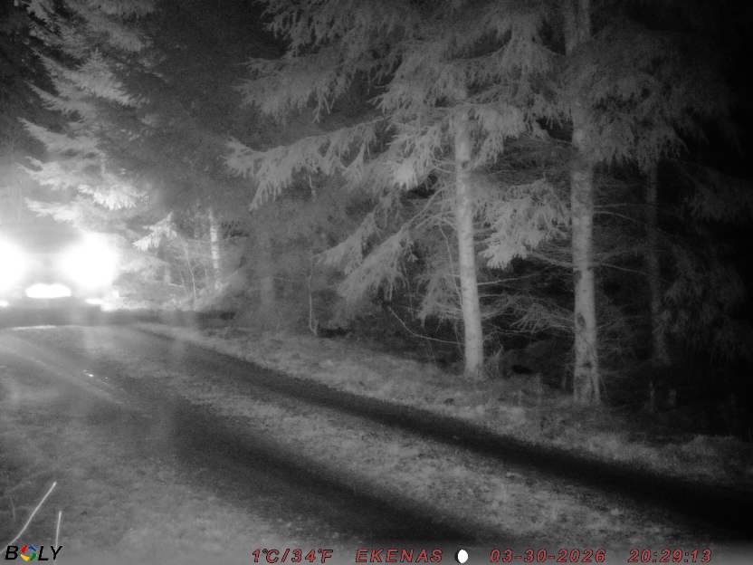 Bild från EKENÄSSALTSTEN