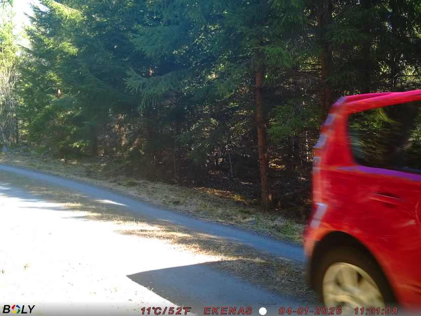 Bild från EKENÄSSALTSTEN