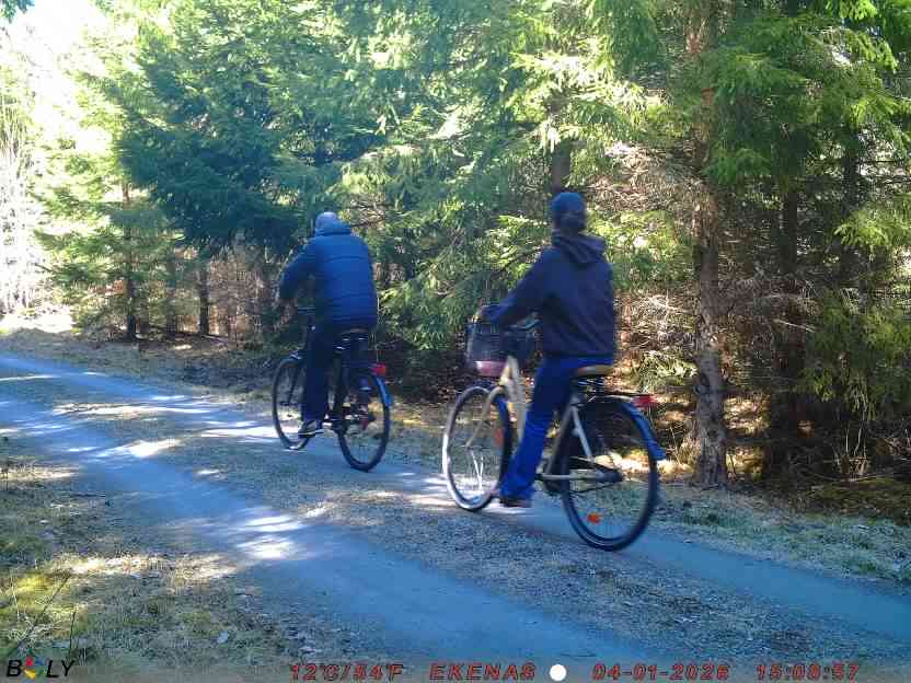 Bild från EKENÄSSALTSTEN