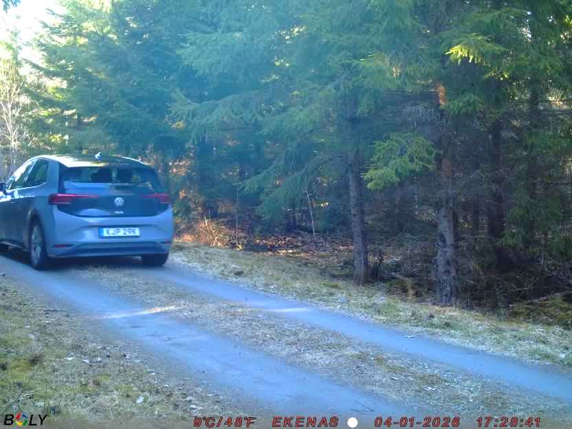 Bild från EKENÄSSALTSTEN