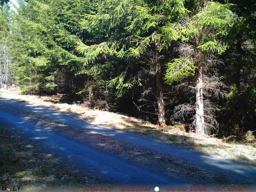 Bild från EKENÄSSALTSTEN