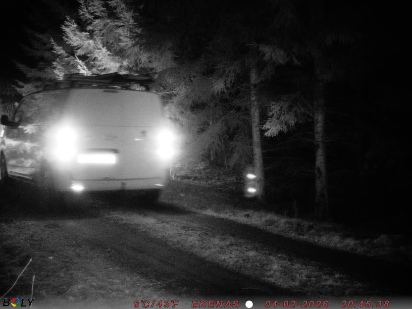 Bild från EKENÄSSALTSTEN