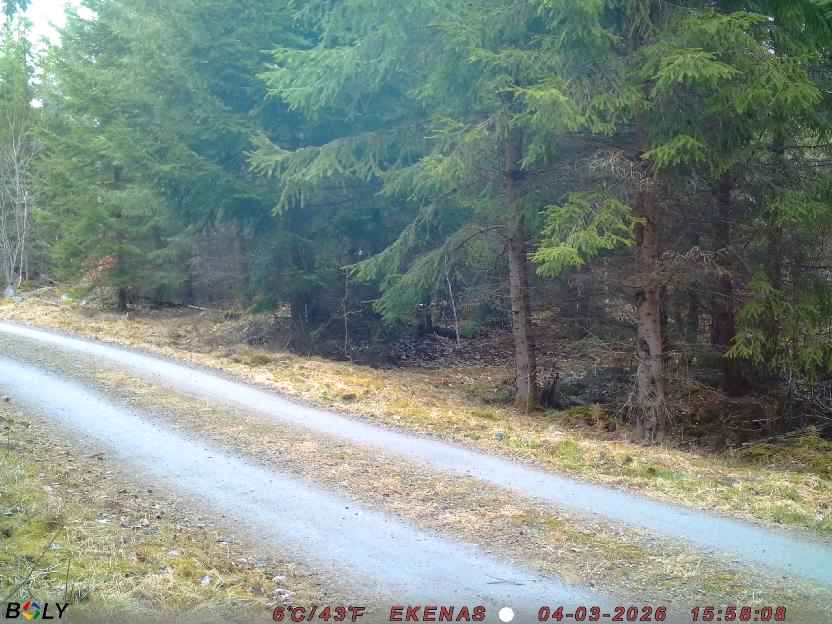 Bild från EKENÄSSALTSTEN