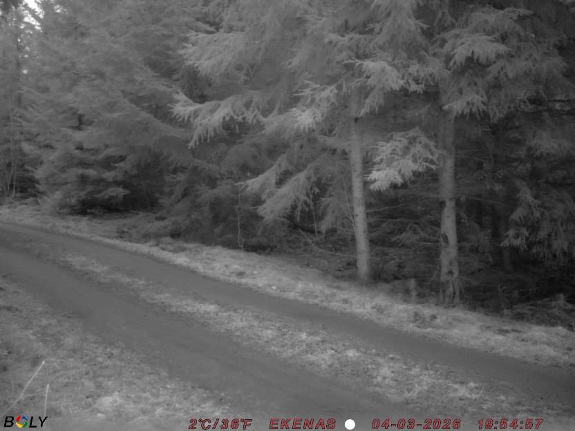 Bild från EKENÄSSALTSTEN