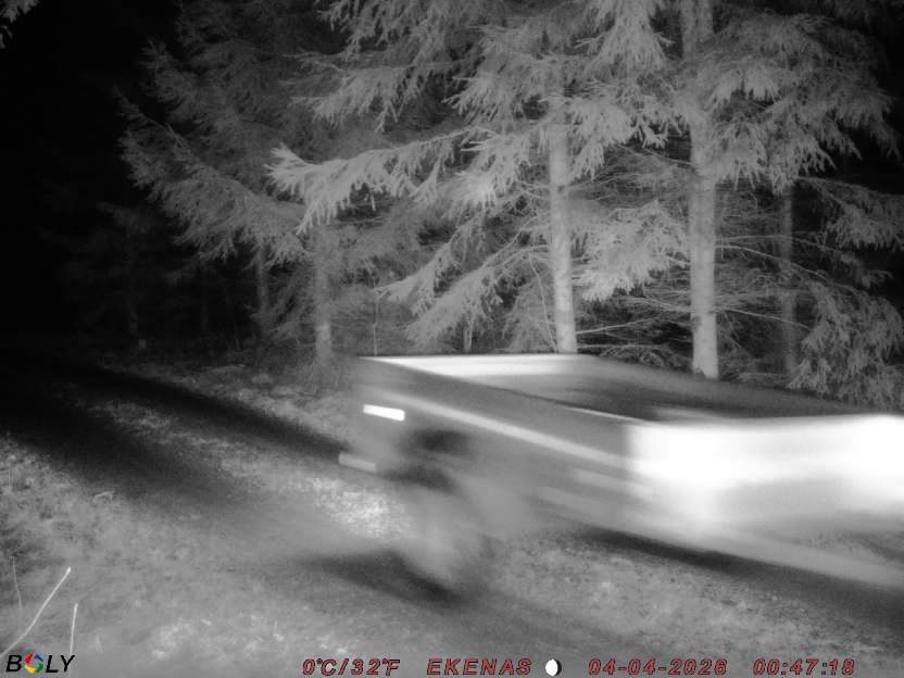 Bild från EKENÄSSALTSTEN