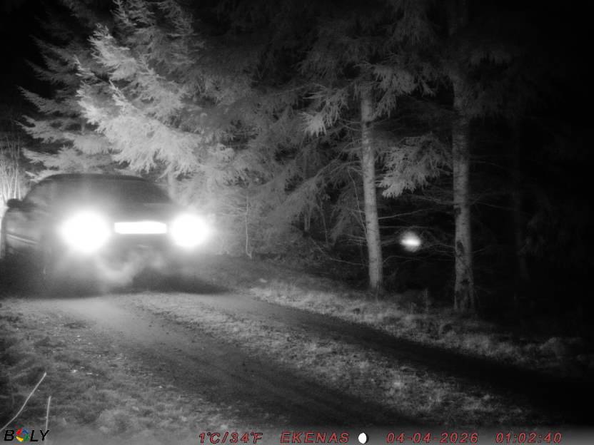 Bild från EKENÄSSALTSTEN