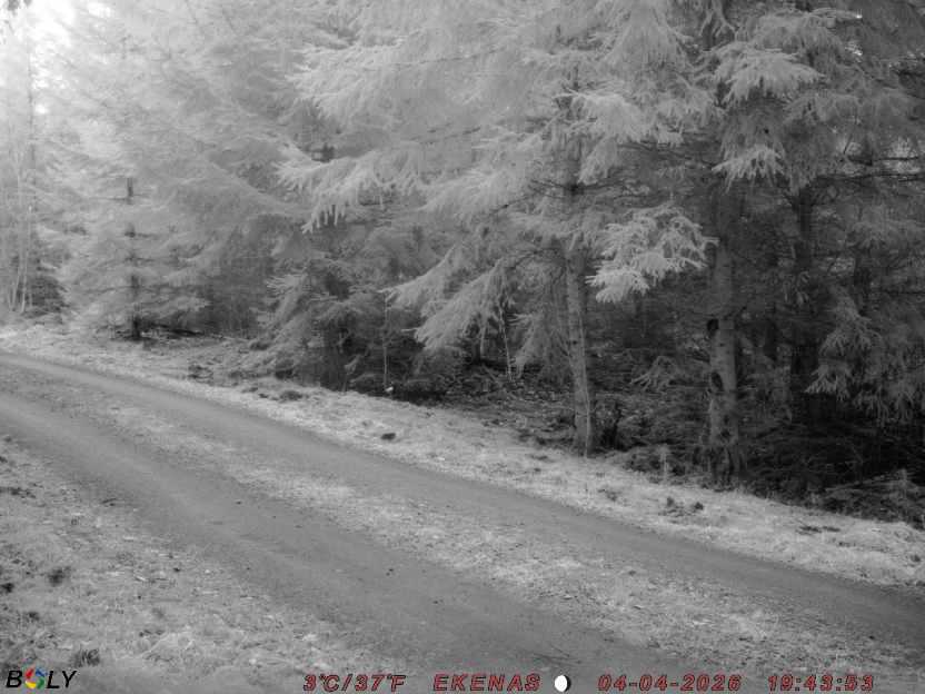 Bild från EKENÄSSALTSTEN