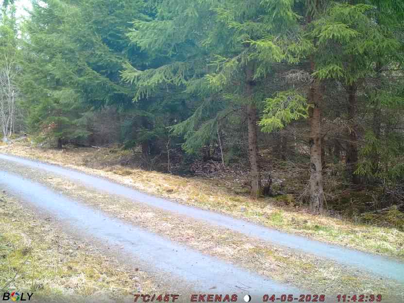 Bild från EKENÄSSALTSTEN