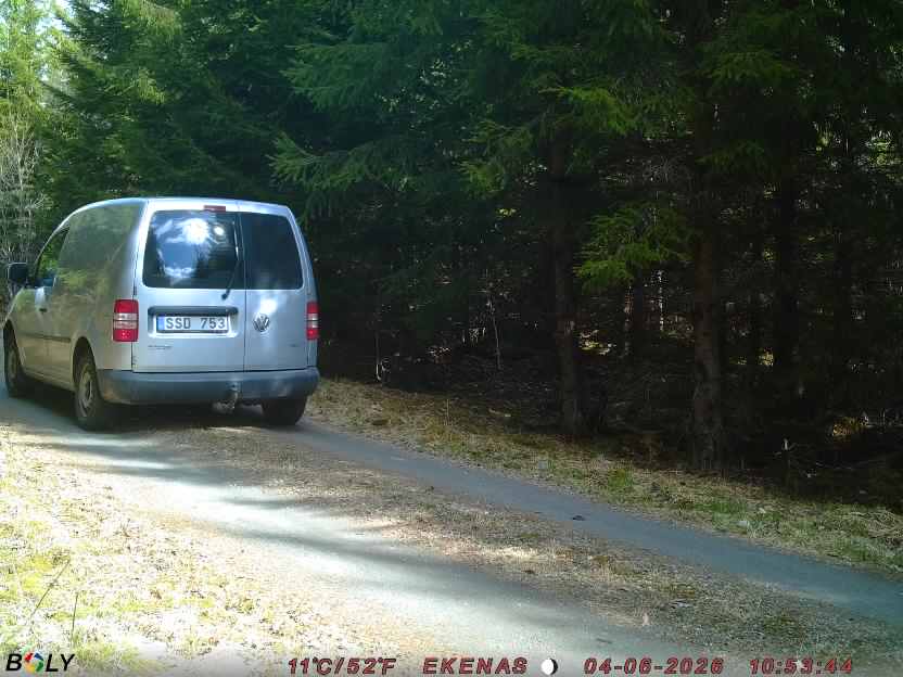 Bild från EKENÄSSALTSTEN