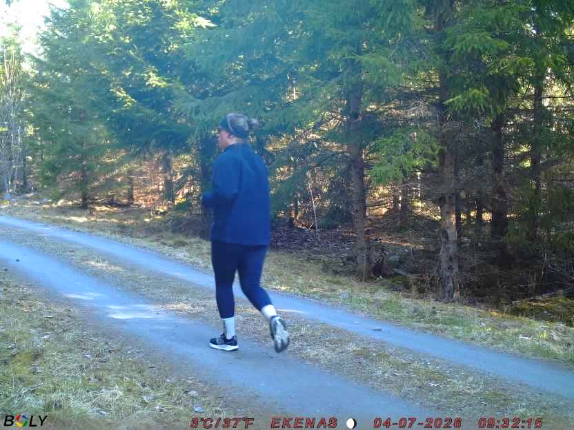 Bild från EKENÄSSALTSTEN