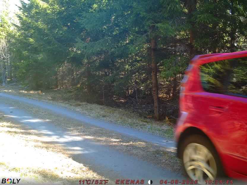 Bild från EKENÄSSALTSTEN