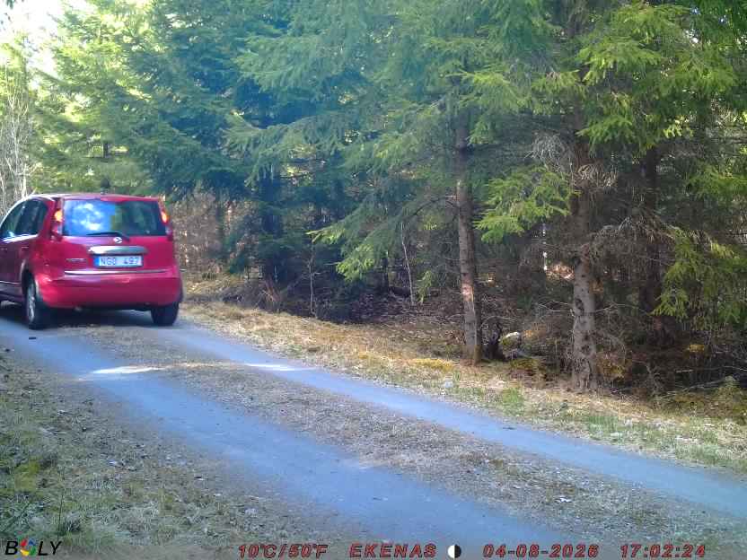 Bild från EKENÄSSALTSTEN