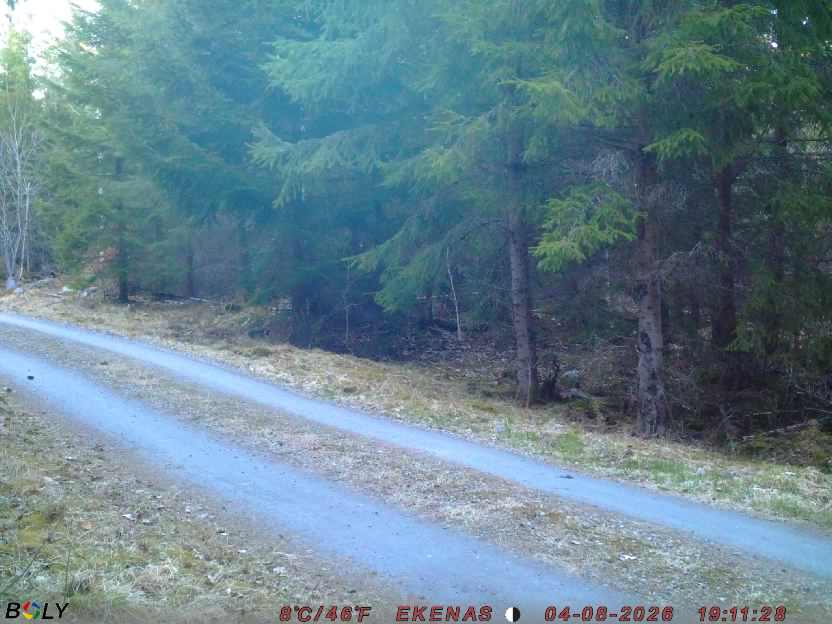 Bild från EKENÄSSALTSTEN