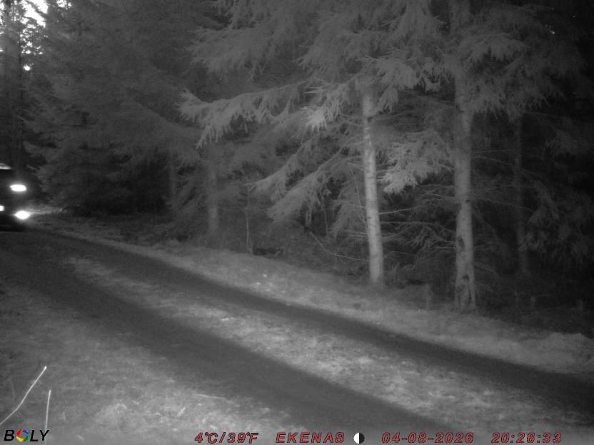 Bild från EKENÄSSALTSTEN