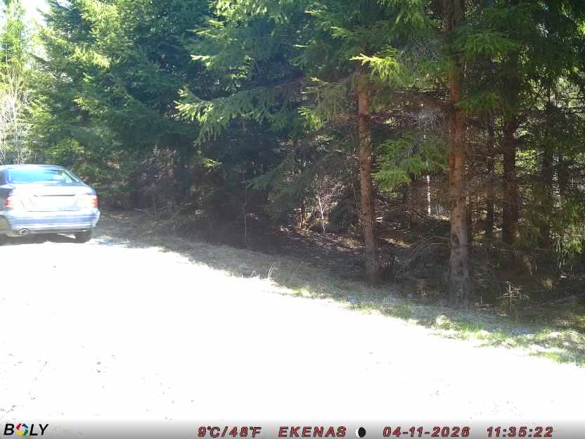 Bild från EKENÄSSALTSTEN