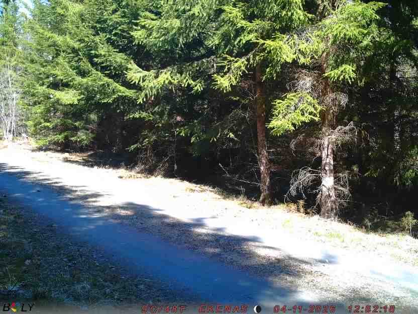 Bild från EKENÄSSALTSTEN