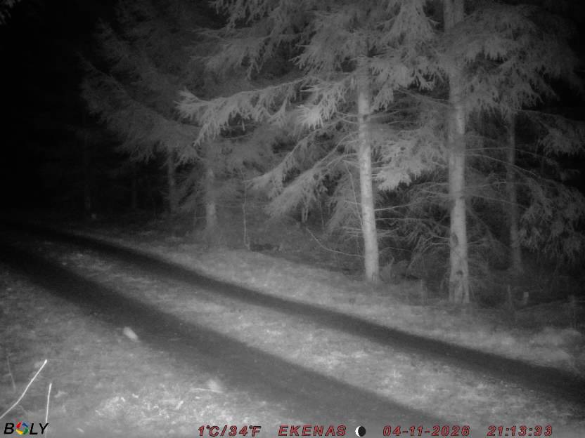 Bild från EKENÄSSALTSTEN